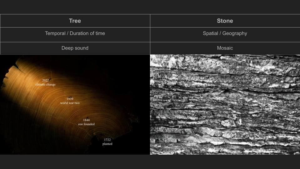 Stone-fized History and Tree-fized Temporary - still 1