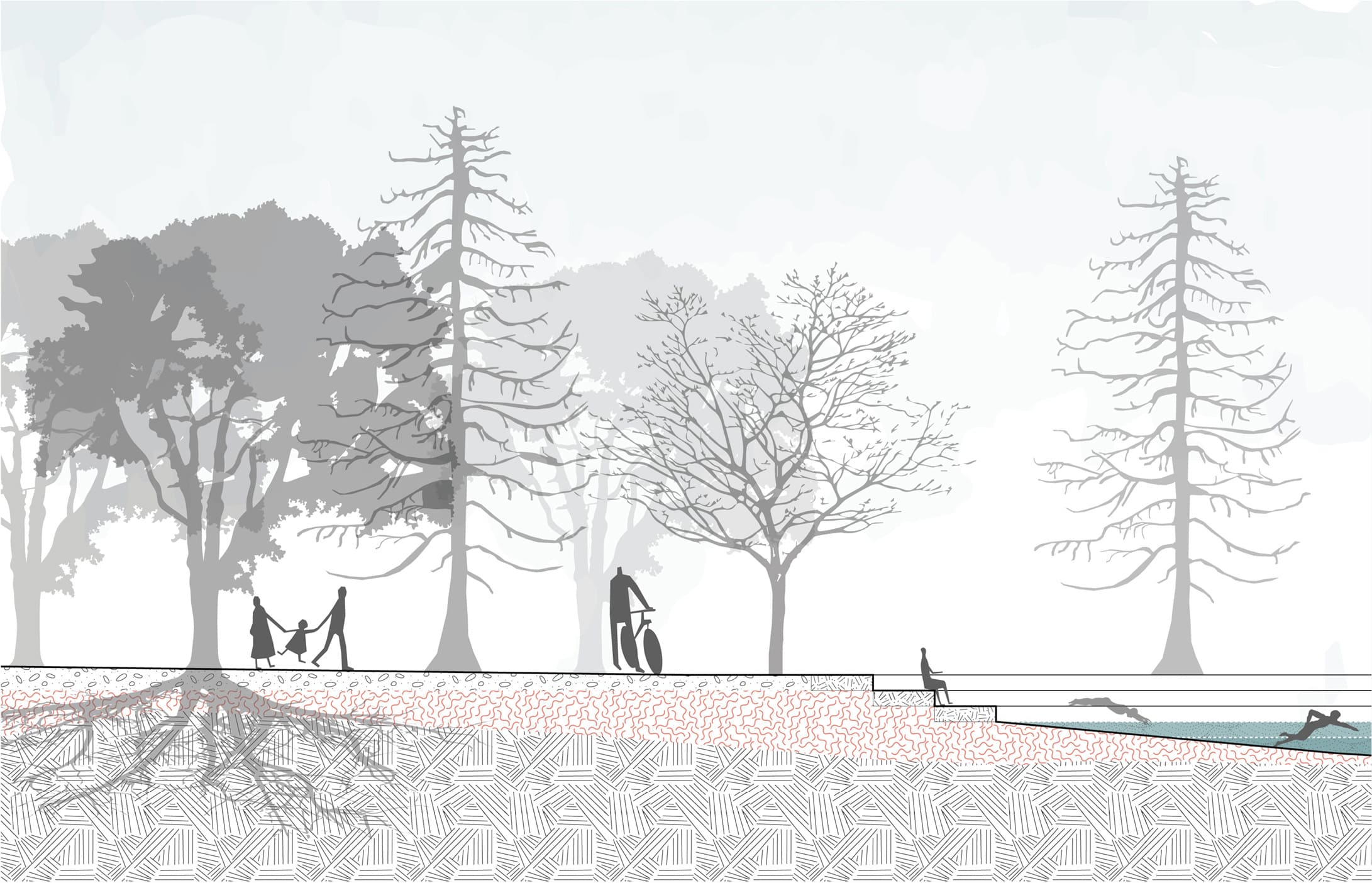 Swimming Pool Section