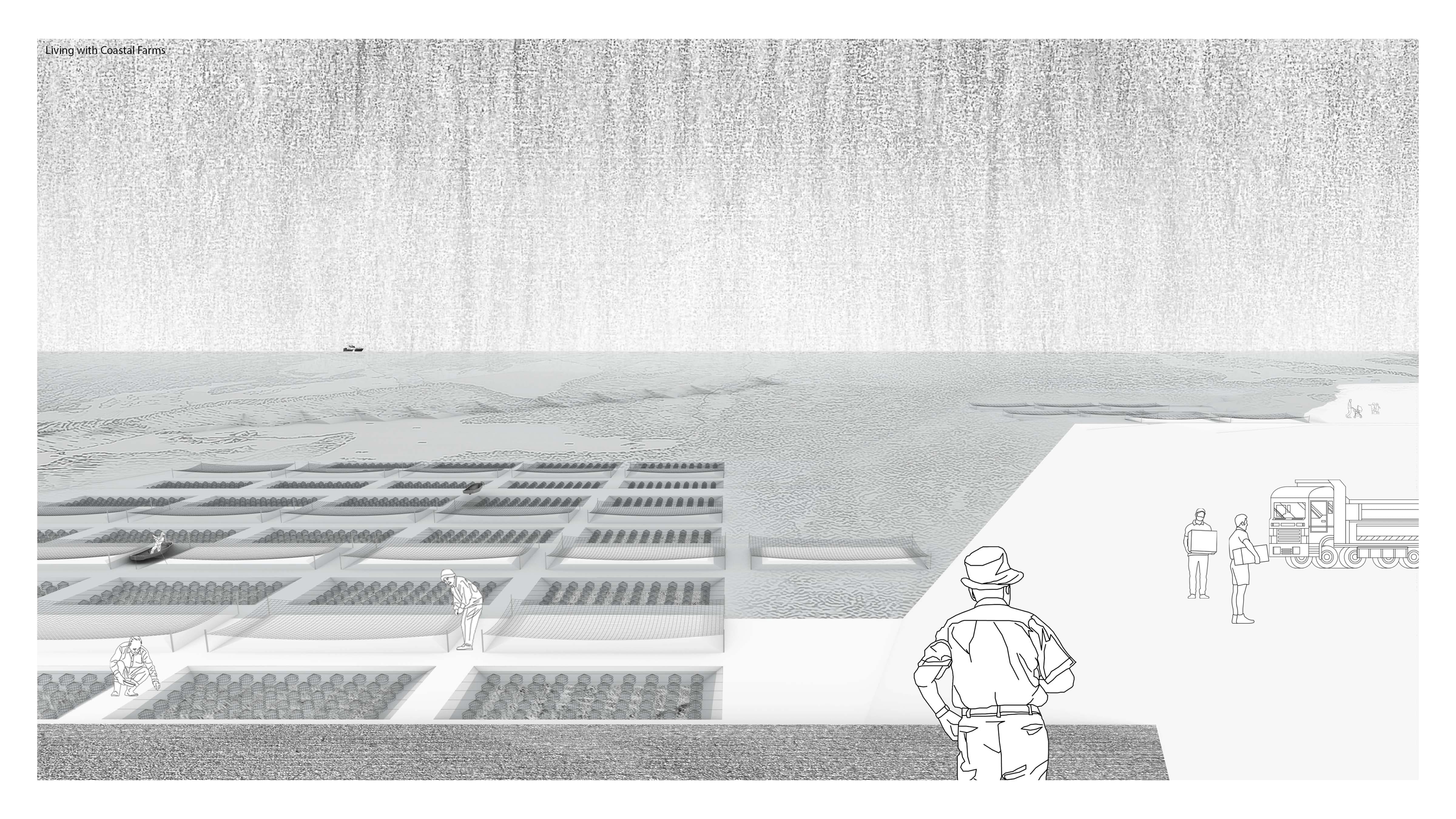 Living with Coastal Farms