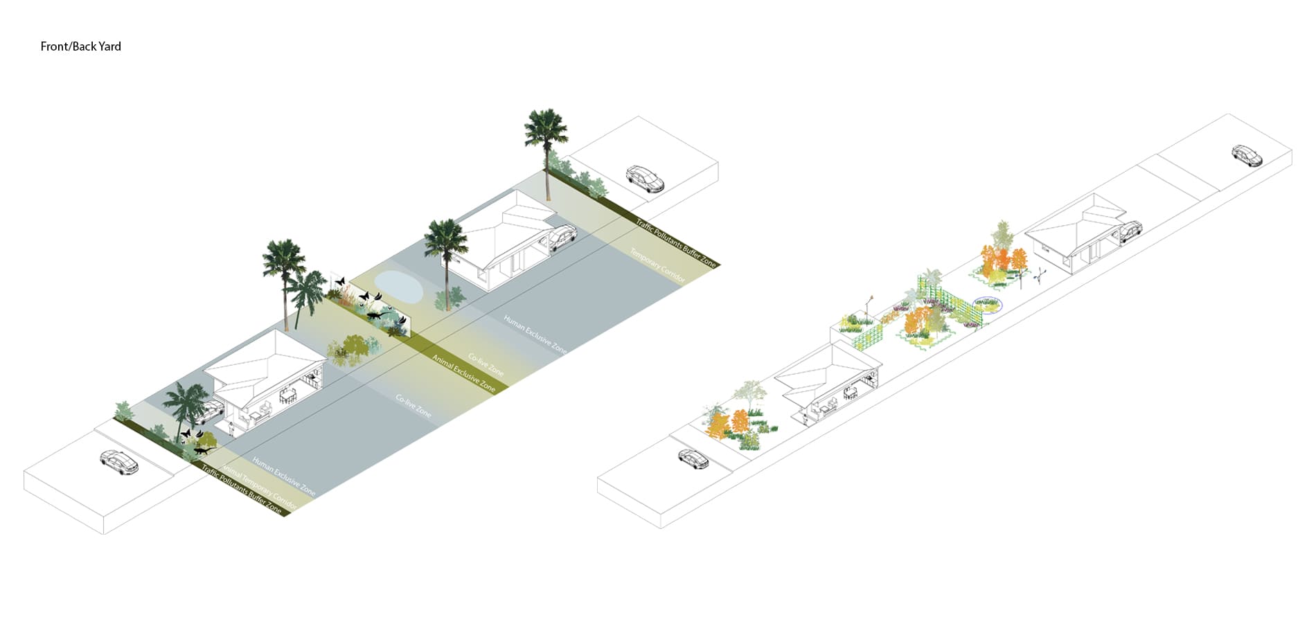 Embrace Wildlife in Daily Life