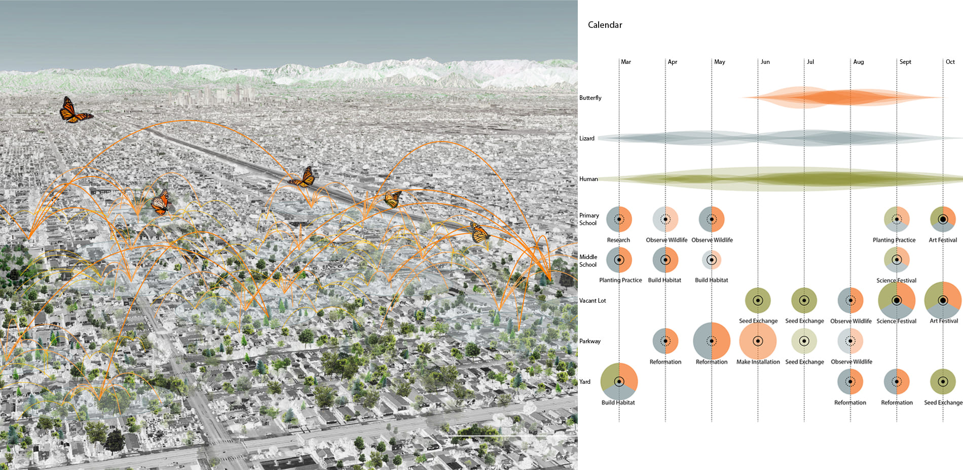 Impacts and Reflections