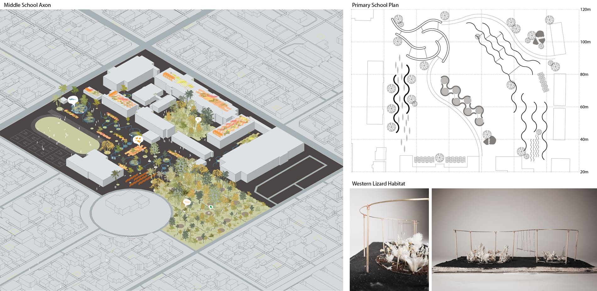 Schools as Knowledge Hubs